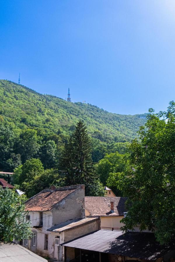 Black Gate - Quiet Studio In The Heart Of Old Town With Free Private Secured Parking Braşov Exteriör bild